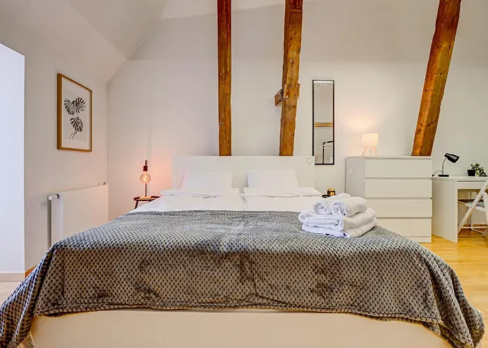 Spacious Loft For 8, Heart Of Old Dzīvoklis Riga